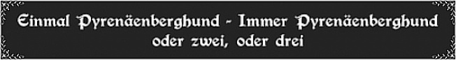Pyrenen Berghund